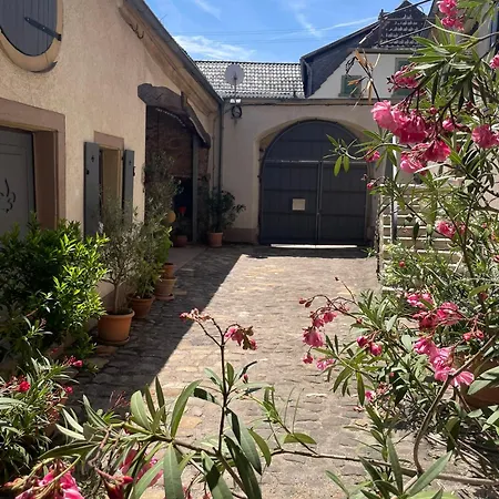 Refugium 12 Villa Neustadt an der Weinstraße