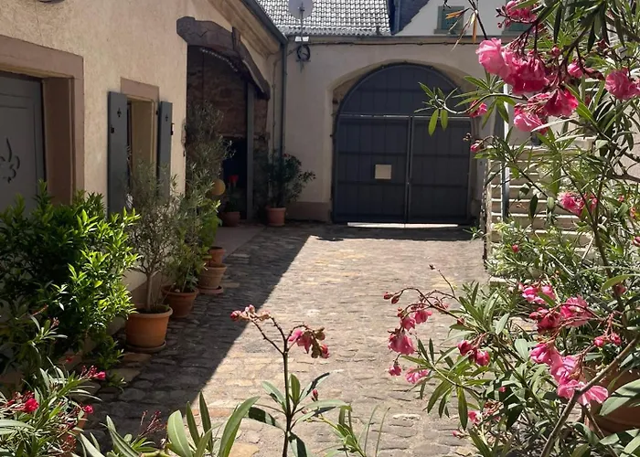 Refugium 12 Villa Neustadt an der Weinstraße